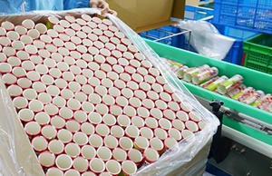 市面上紙罐包裝價(jià)格波動(dòng)大嗎？